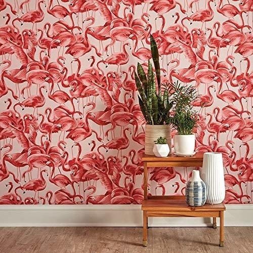 Vinilo Decorativo Flamencos  /rollo 0.52x5m/ X2u 1