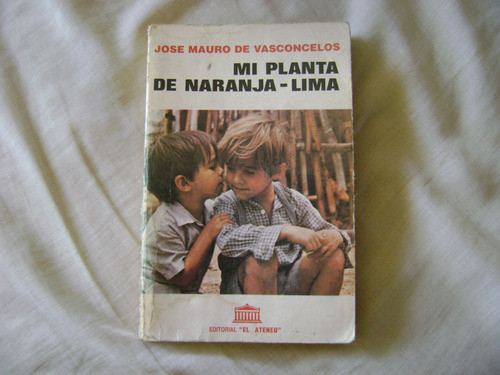 Planta De Naranja Lima. Vasconcelos 1