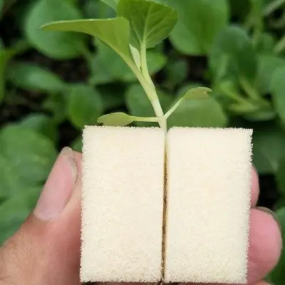 Espuma Pu - Germinacion Y Esqueje 4x4x5cm-30un 0