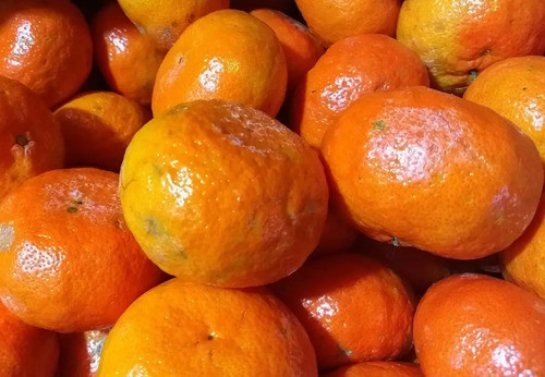 Mandarina Encore - Mandarina De Agosto 0