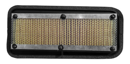 Filtro Aire Yamaha Fz-s Fi 3.0 Original Gaona Motos 1