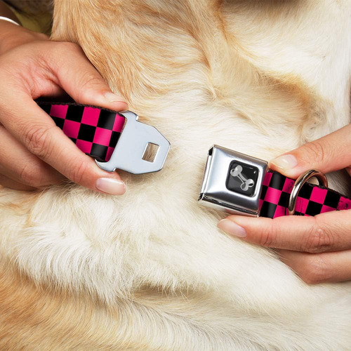Collar Para Perros Con Hebilla De Cinturón De Seguridad Con 1