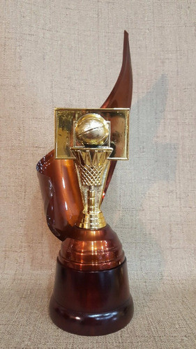Trofeo Metálico Alegoría Base Madera Basquet Tablero 28cm 1
