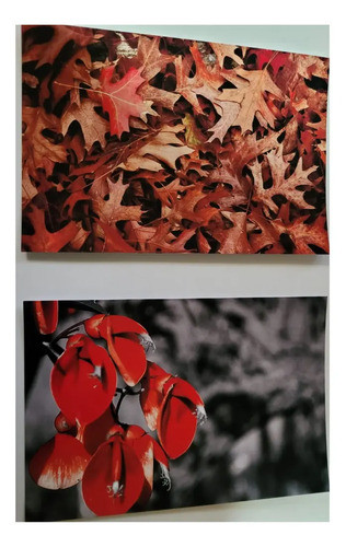 Impresion Revelado Digital Premium Pack X 100 10x15 0