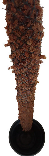 Tutor De Musgo Sphagnum Natural 100cm 0