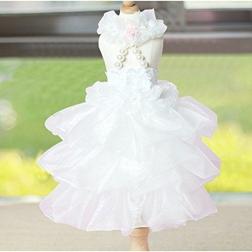 Perro Encantador Traje De Novia Conjunto Con Collar De Perla 1