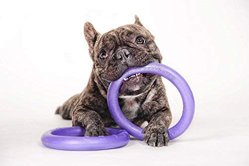 Juguete Para Perro Mini Interactivo De 2 Extractores 75 Anil 0
