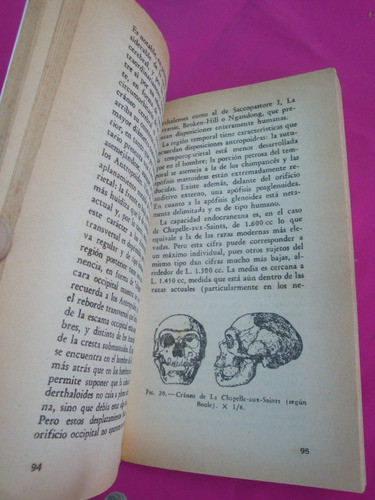 La Genesis De La Humanidad C. Arambourg 1