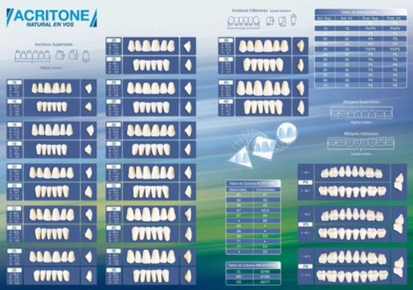 Dientes De Acrilico Acritone Por 10 Tabletas 1