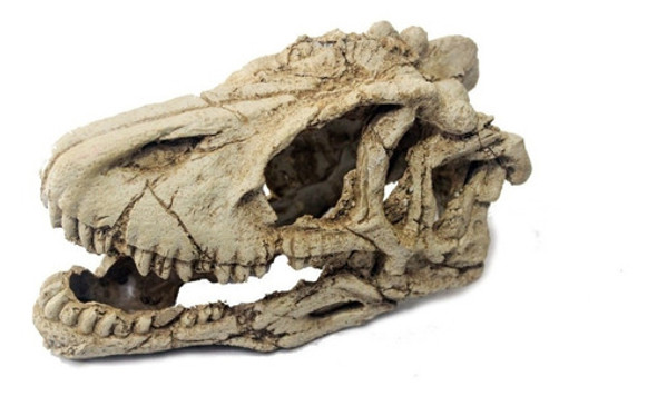 Cráneo De Dinosaurio De Resina Adorno Acuario Pecera 1