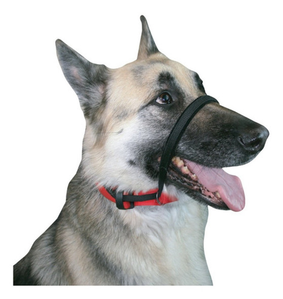 Bozal Halti Correa Adiestramiento Perros Medium Large 1 Bozal Halti Correa Adiestramiento Perros Medium Large 1
