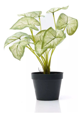 Planta Artificial Interior Decoracion 50 Cm Potus En Maceta 1