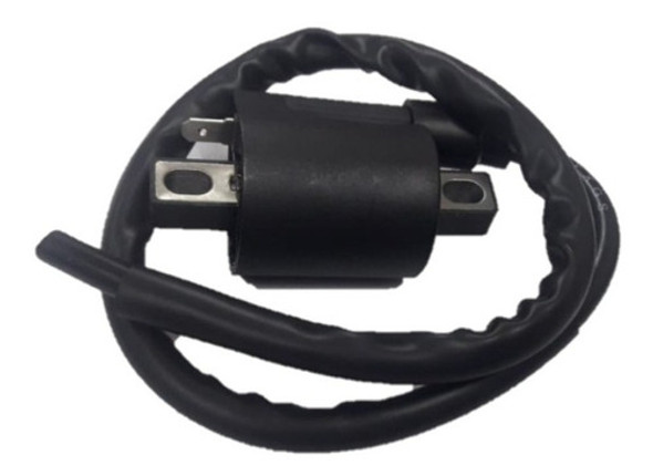 Bobina Rx150 Zanella Due 110 Classic 1 Bobina Rx150 Zanella Due 110 Classic 1