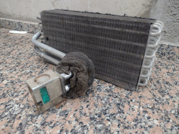 Panel Radiador Evaporador Renault Clio 1 Original 1