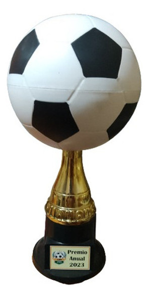 Pelota Bicolor / Goleador / Jugador Del Partido 0 Pelota Bicolor / Goleador / Jugador Del Partido 0