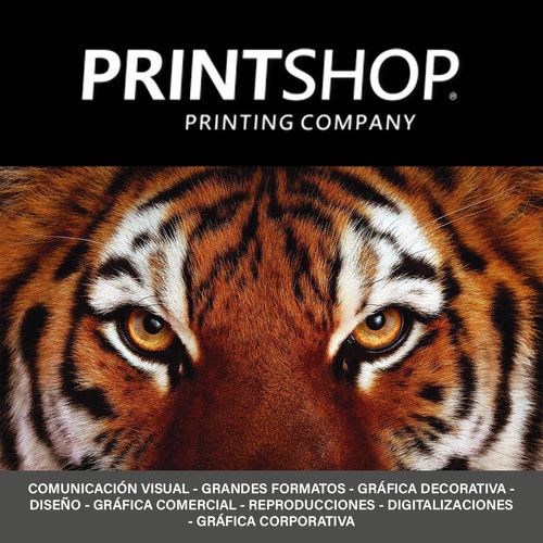 Folletos Flyers Volantes Printshop Color 2 Lados 15x21 X500 1
