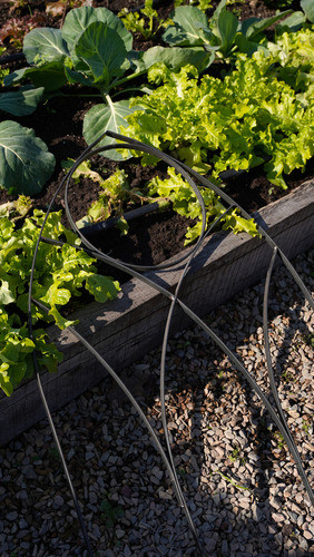Tutor Para Plantas Arco Gótico Sin Pintar. Escultura Jardín 1
