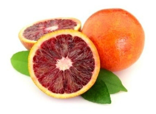 Naranja Sanguínea. Cultivar Tarocco Rosso. 0
