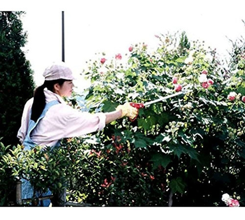 Ars Rose Pruner 2foot 1