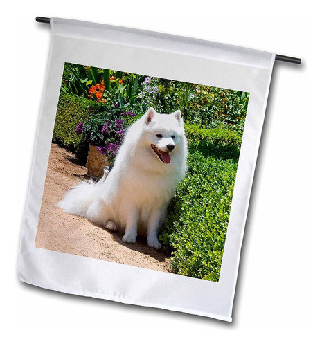 3drosa Fl_88781_1 Perro Esquimal Americano Us05 Zmu0082 Zand 0