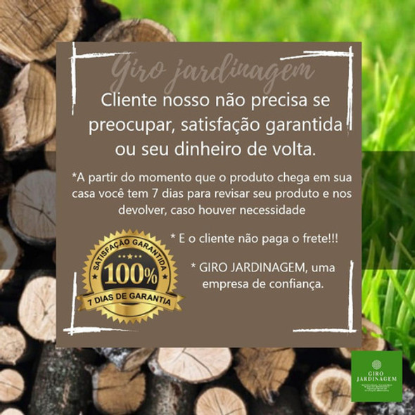 Saibre 12 Pol 30cm 22d 1.3 St 170 180 193 210 230 250 025 1