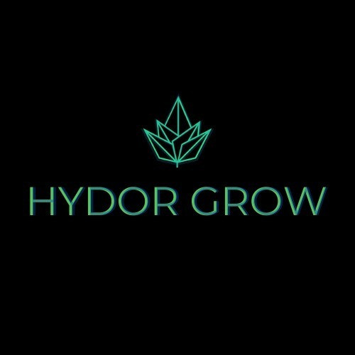 Sistema Hidroponía Dwc 20lt - Hydor Grow 1