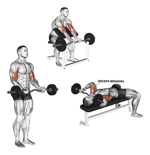 Barra De Academia Musculação Modelo W Bíceps E Tríceps 1
