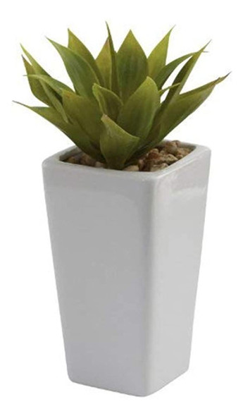 Casi Natural 4972s3 Agave Con Maceta, Mini, Color Blanco Y V 0 Casi Natural 4972s3 Agave Con Maceta, Mini, Color Blanco Y V 0