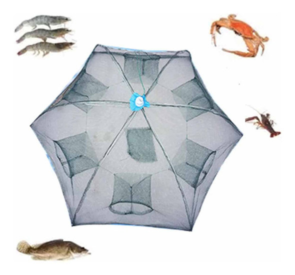 Covo Lambari Etc+ Brinde Armadilha Para Peixe De Pesca Rede 1 Covo Lambari Etc+ Brinde Armadilha Para Peixe De Pesca Rede 1