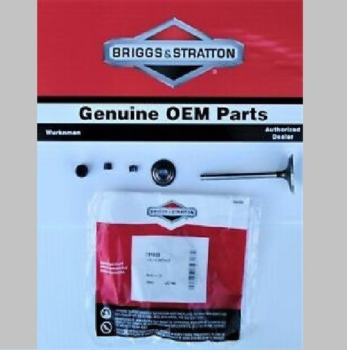 Válvula Admisión Briggs&stratton 791935 495857 695761 1