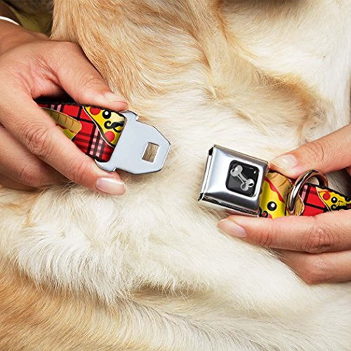 Cinturon De Seguridad Con Hebilla Hebilla Collar De Perro P 1