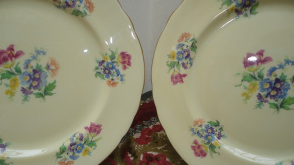 Gran Plato Porcelana Inglesa Antiguo Para Decorar Miralo 1 Gran Plato Porcelana Inglesa Antiguo Para Decorar Miralo 1
