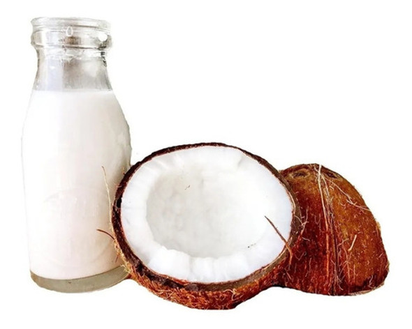 Leche De Coco En Polvo Importada - 250 Grs 0