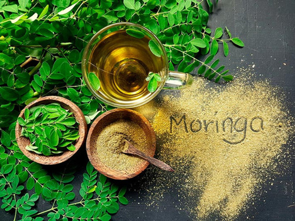 Te Moringa Madre Tierra  Antioxidante 1