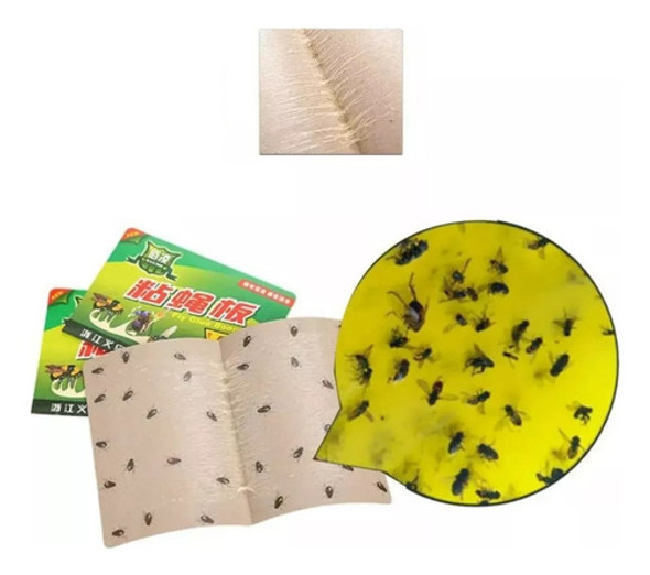 Set X24 Trampa Placa Adhesiva Atrapa Insecto Mosca Cucaracha 0