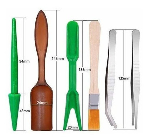 Ginsco 7 Unids Suculento Trasplante Jardín De Hadas En Minia 1