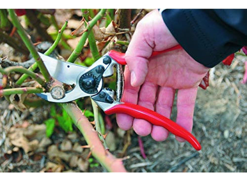 Podadora De Hoja Estrecha Felco F11 1