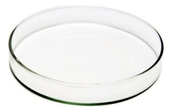 Placa De Petri De Vidro 90x15 C/ 10 Unidades 1