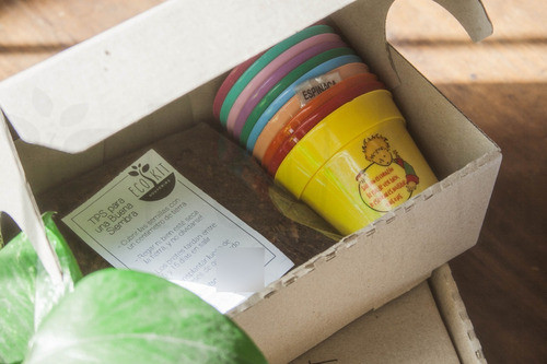 Regalo Día Del Niño Huerta X10 -maceta Tierra Semillas! N°8 1