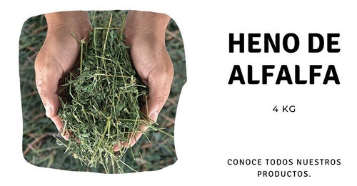 Heno De Alfalfa Alimento; Conejos, Cobayos X 4kg. Caba 1