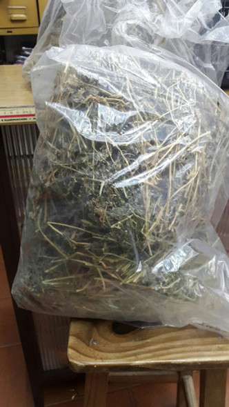 Alfalfa En Bolsa Suelta 0