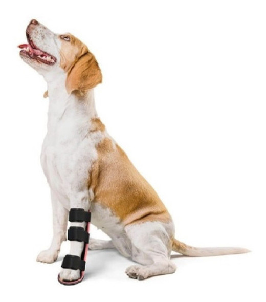 Ferula Pata De Perro Mediano Tongue Delantera 30 A 35 Cm Alt 0