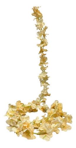 Guia De Hortensias 0