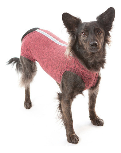 Enterito Post Quirúrgico Para Perro Macho 0.5 - 4.5 Kg 0