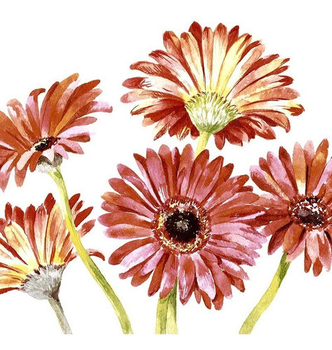 Servilletas Paper Design Gerbera Art 33x33 Cms 0