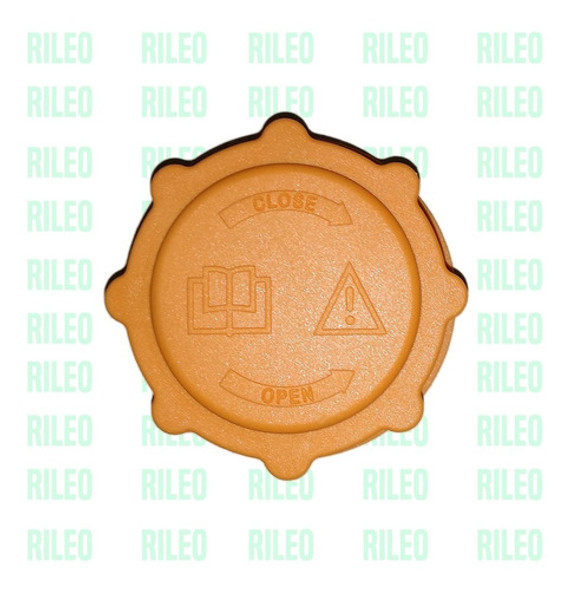 Tapa Bidon Deposito Refrigerante Ford Rocam Fiesta Ecosport 1
