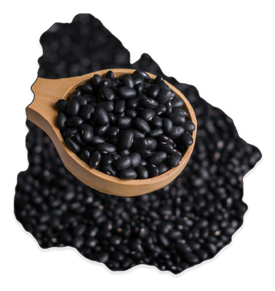 Poroto Negro, Legumbre 500g - Envíos - Excelente Calidad 0