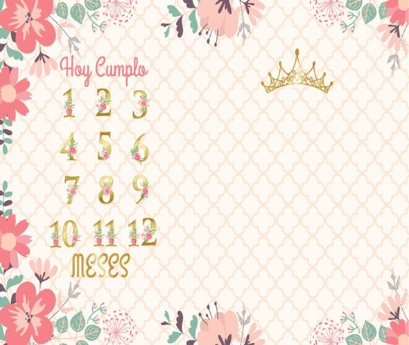 Lona Manta Crecimiento Bebé Semana Mes Y Año Lavable Corona 0 Lona Manta Crecimiento Bebé Semana Mes Y Año Lavable Corona 0