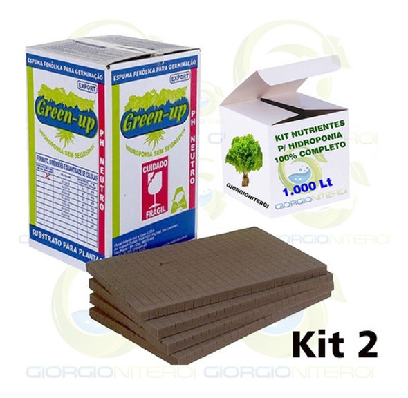 Kit 02 Espuma Fenólica Semente Peletizada Fertilizante Horta 0