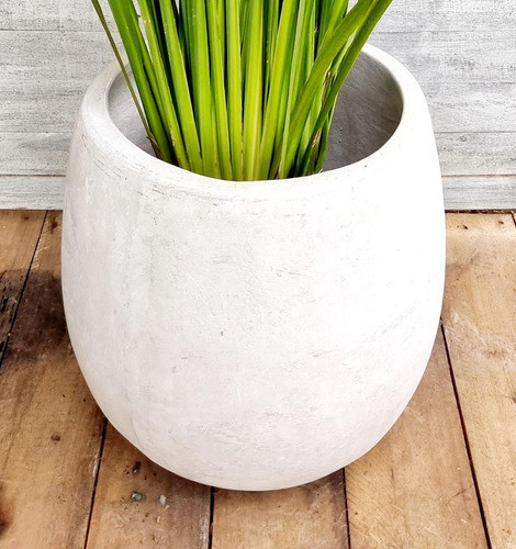 Planta Diete C/maceta 1